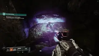 Destiny 2 : 1 неделя сезона Желание . Звездная кошка  ( 2 места )