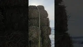 2024 straw prices, between $280 and $300 a ton #farming #2024 #ford