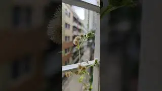 See the nature and try to understand your religion