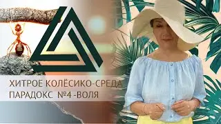 ХИТРОЕ КОЛЁСИКО - СРЕДА. Парадокс 4 - ВОЛЯ.