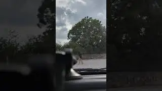 Come superare la PAURA DI GUIDARE (AMAXOFOBIA)