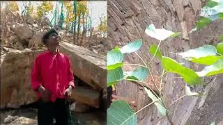 video new bap re etna gahra hai  kemra men dj mehashvar babu