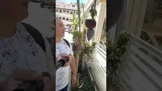 А вы видели как цветет банан?