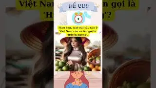 Đố vui 56 
