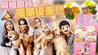 【與狗同行🤩獨家優惠】全港首創狗狗自選鮮食店😃專業營養師推薦😎一起來探望柴犬店長CK😍 - 三條毛  @DIDOW   feat.與狗同行