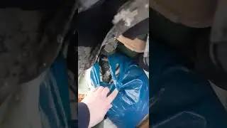 Ждём большую воду