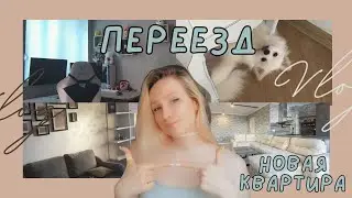 ПЕРЕЕЗД В СВОЮ КВАРТИРУ |  ВРЕДНУЛЯ VLOG