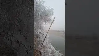 жизнь в деревне, чем город отличается от деревни