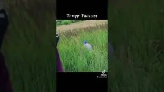 ПАША ПЭЛ ТИМУР КАПЧЁНЫЙ