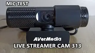 AVerMedia Live Streamer CAM 313 Mic Test