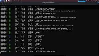 WEB GÜVENLİĞİ #2 (Admin Panel Bulma)