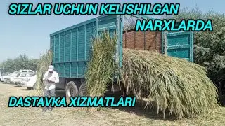 SAMARQAND V ISHTIXON TAXTA BOZOR YONIDA XAMISH NARXLARI DASTAVKA XIZMATLARI KELISHILGAN NARXLARDA