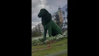 1-комнатная квартира в ЖК Царёво Village