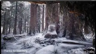 Tutorial for Snow accumulation Winter Forest UE4 (Photorealistic Graphics Redwood Scene by Mawi)