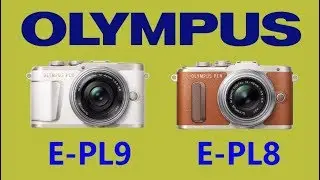 OLYMPUS PEN E-PL9 vs OLYMPUS PEN E-PL8