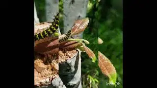 Прекрасное лето
