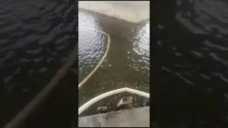 продувка эжектором дна на Белой в Уфе