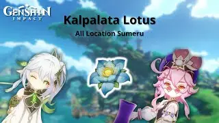 [GUIDE] All Kalpalata Lotus Farming Route Location Sumeru Region | Genshin Impact
