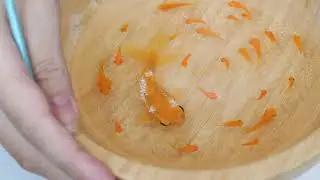 Resin Fish Painting Tutorial Day 5