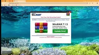 How to Get Tracers FiveM