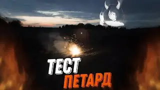 БЕЗУМНЫЙ ТЕСТ ПЕТАРД!
