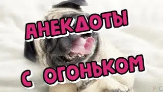 АНЕКДОТЫ, про кроликов/объём/жигули.......