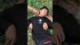 Behind the scane mitos nabrak kucing#shotrs #minivelog #comedy #bocilwargads