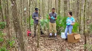 Sampling Fungal Communities in FL, USA