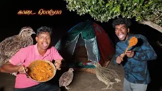 கடற்கரையில் காடை வேட்டை| Village Traditional  Quail HUNTING  @Venuadventures