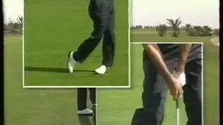 Seve - Wedge Tips