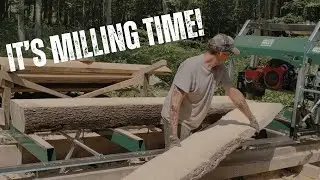 Woodyard Wednesday! Milling Logs into Fence Rails on My Woodland Mills HM136MAX Sawmill