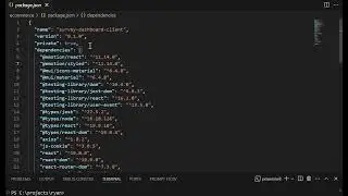 Node.js package.json Explained: Everything You Need to Know