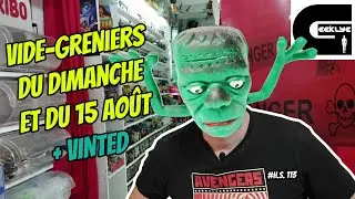 Geeklye Vide Grenier du dimanche et du 15 Août 2024 + Vinted : DVD, BD, Jouets, etc...