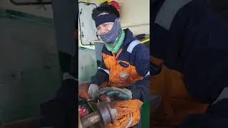 hydroblaster motor restoration