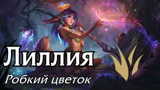 [Guide] Lily | Forest
