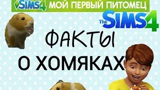 ИНТЕРЕСНЫЕ ФАКТЫ О ХОМЯКАХ| THE SIMS 4 Мой первый питомец