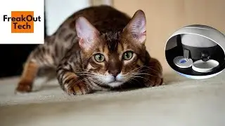 5 Incredible Inventions For Your Cat #4 ✔