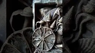 Мои фактуры 