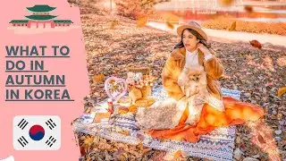 What To Do in Korea in Fall 🍁