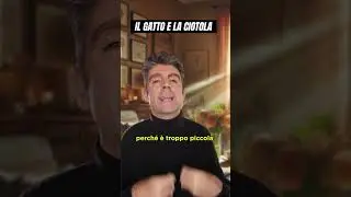 Il gatto e la ciotola #humor #fun #comedy #cabaret #risate #umorismo #gatti