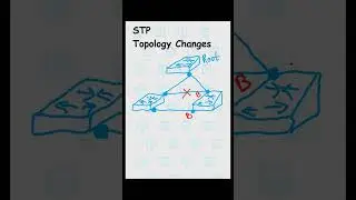STP Topology Changes Notification
