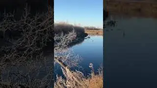 Первые заморозки на реке , октябрь 2024 #carpfish #fishing #carping #carphunter #carpfishinglife