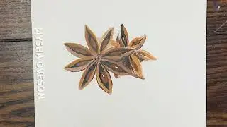 Daily Doodle Messenger - Day 112: Star Anise
