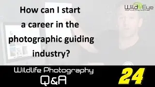 Wildlife Photography Q&A 24 - How to start a career in the photographic guiding industry?