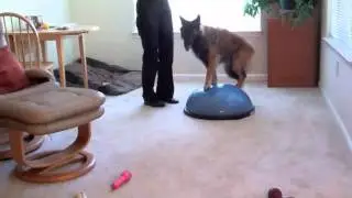 Tuck Sit