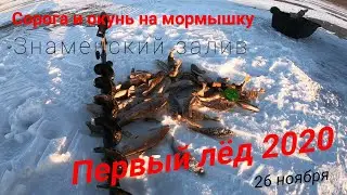 ПЕРВЫЙ ЛЁД 2020-2021/ЗНАМЕНСКИЙ ЗАЛИВ/ЛОВИМ СОРОГУ И ОКУНЯ НА МОРМЫШКУ/ГДЕ КУПИТЬ УГОЛЬ В ПАЛАТКУ!!!