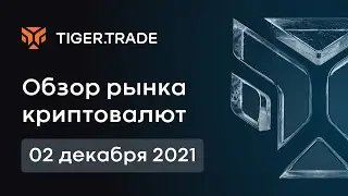 Обзор рынка криптовалют 02.12.2021