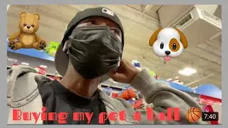 Appreciating my dog shopping blog