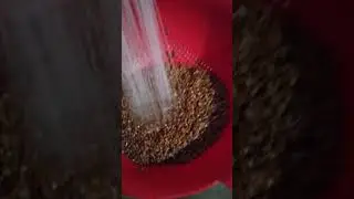How to Cook Buckwheat with meat 