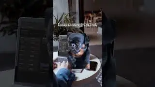 Нам нужна новая волна 🌊
